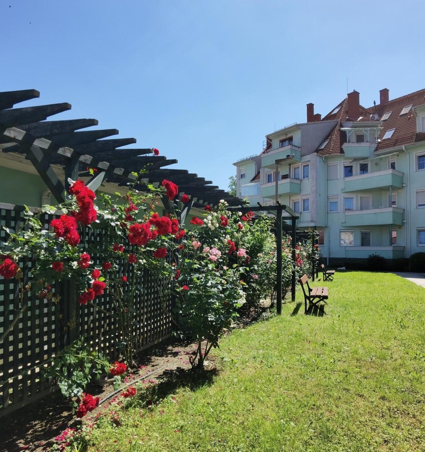 Rose Gold Apartment Zalaegerszeg Dış mekan fotoğraf